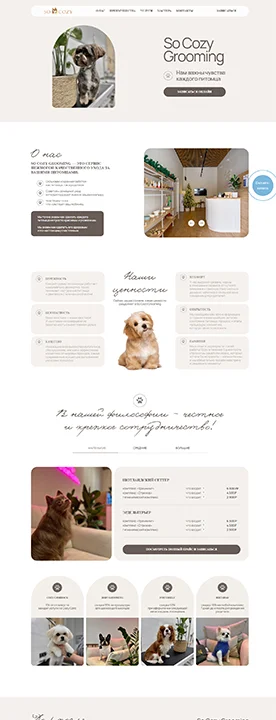 Название сайта